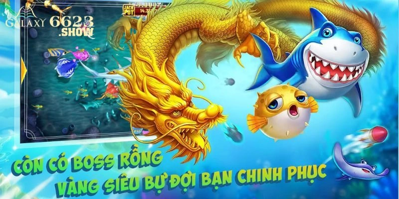 Review về ưu điểm của Bắn cá rồng vàng mang lại